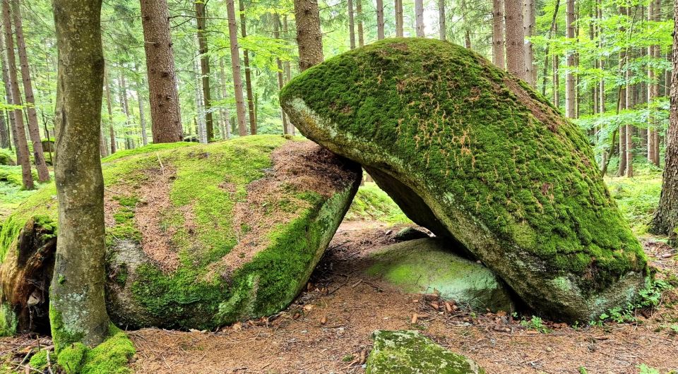 Bieg do Schroniska pod Łabskim Szczytem